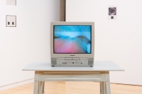 https://mail.maxguy.studio/files/gimgs/th-1_DSC01275.jpg